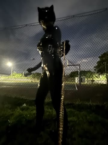 圖片 14