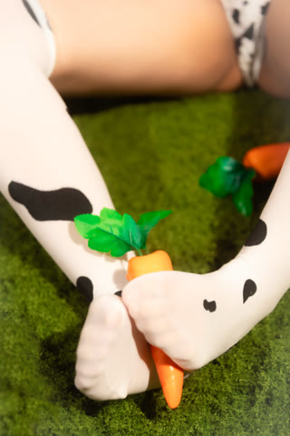圖片 8