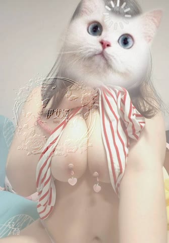 圖片 1