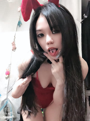 圖片 5