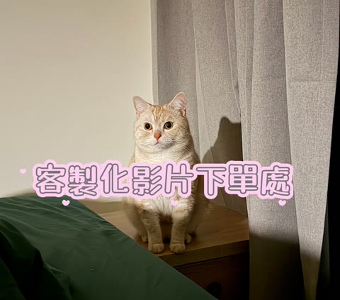 圖片 2