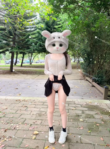 圖片 5