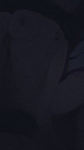 影片 4