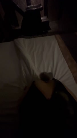 影片 2
