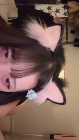 影片 7